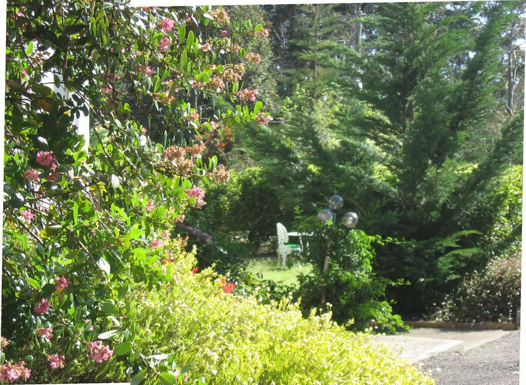 Chalet Swisse Spa Malua Bay Bagian luar foto