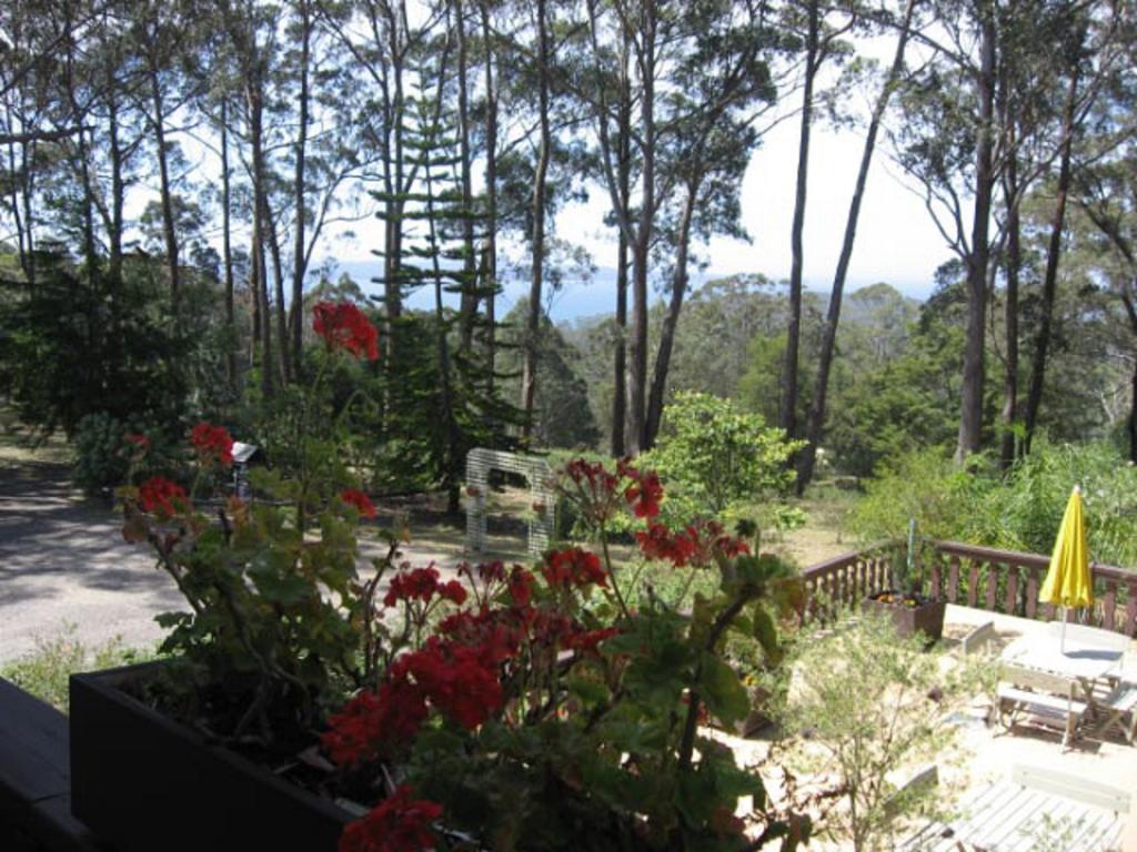 Chalet Swisse Spa Malua Bay Bagian luar foto